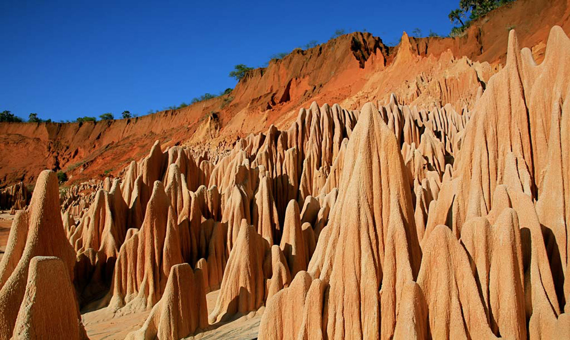 1/ Madagascar, a world of Nature wonders