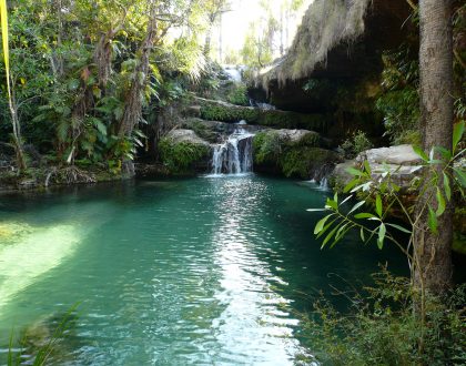 14/ Madagascar, Galapagos of Africa:  18 days